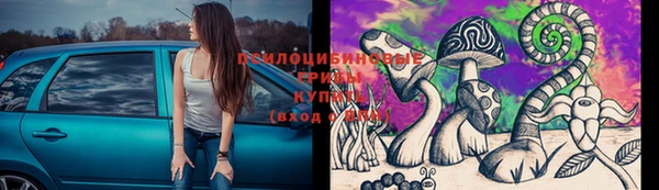 ГАЛЛЮЦИНОГЕННЫЕ ГРИБЫ Алзамай
