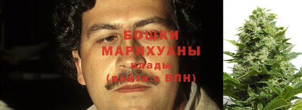 ГАЛЛЮЦИНОГЕННЫЕ ГРИБЫ Алзамай