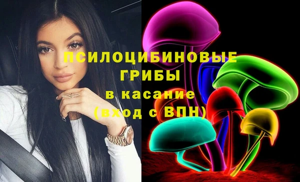 ГАЛЛЮЦИНОГЕННЫЕ ГРИБЫ Алзамай