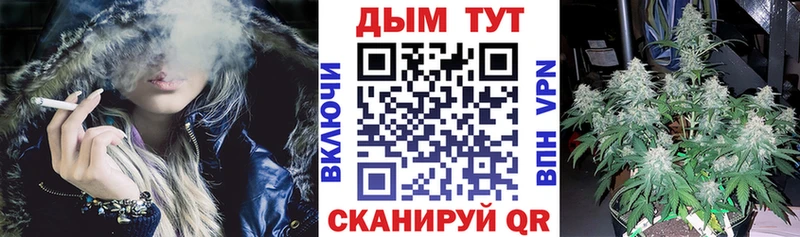 darknet как зайти  Закаменск  Канабис THC 21% 